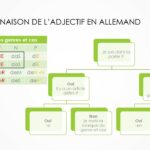 Déclinaison de l'adjectif en allemand